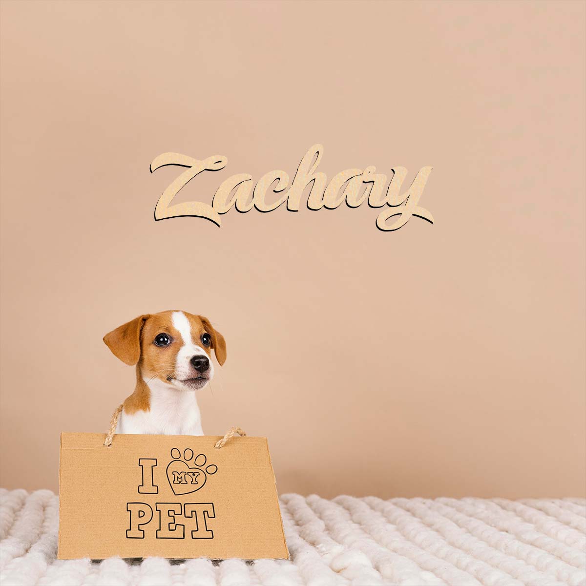 1pc home decor Zachary example - Home Decor Examples review and price